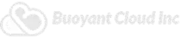 Buoyant Cloud Inc|GCP Consulting Services Canada